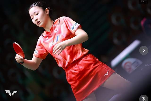 纷呈的视觉 纷呈的视觉