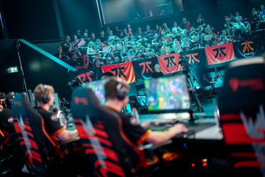 可能包括 可能包括